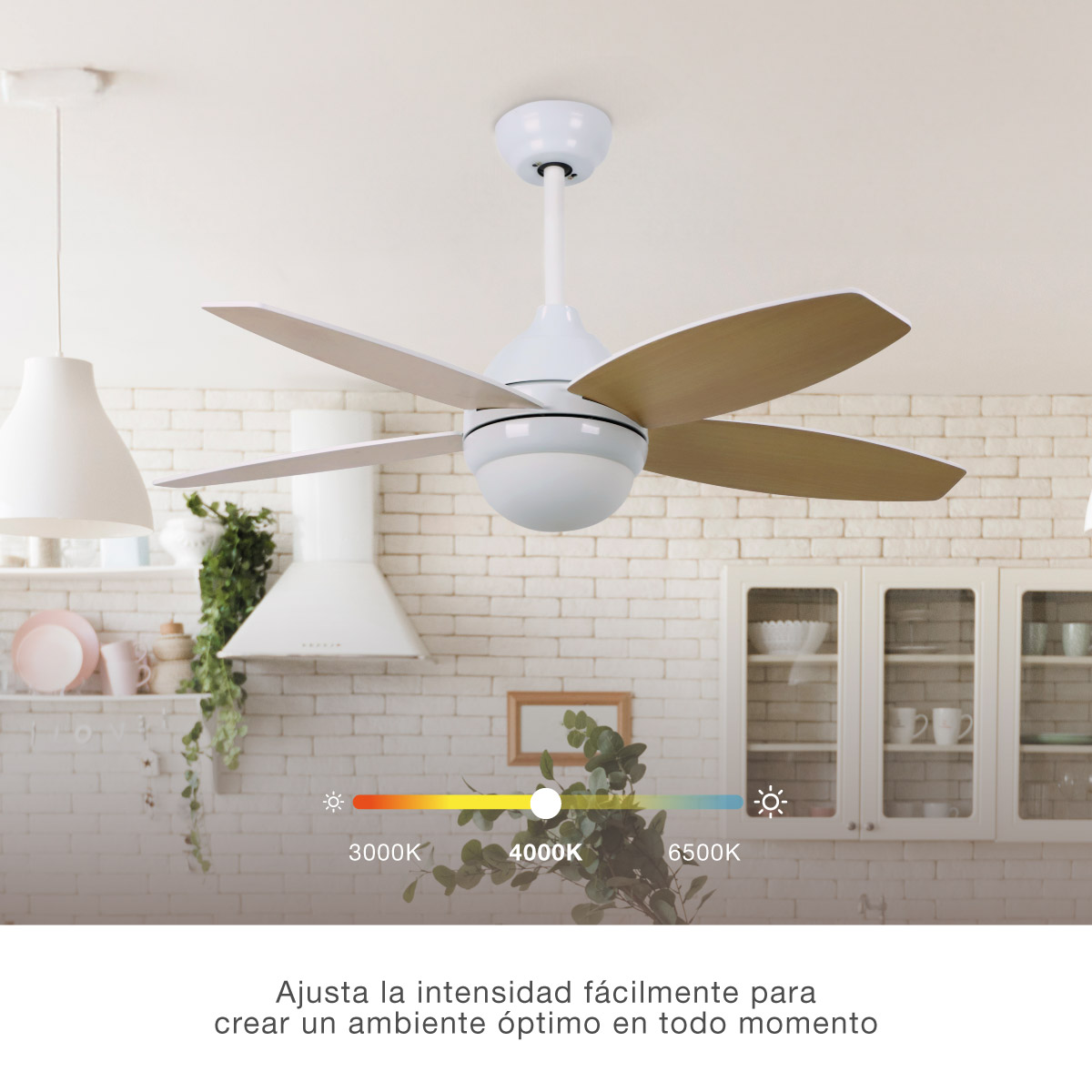 Ventilador techo Muna con luz CCT regulable y mando Ø91 4 aspas Blanco