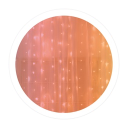 [204605007] Cortina LED luminosa 2 x 2 m RGB